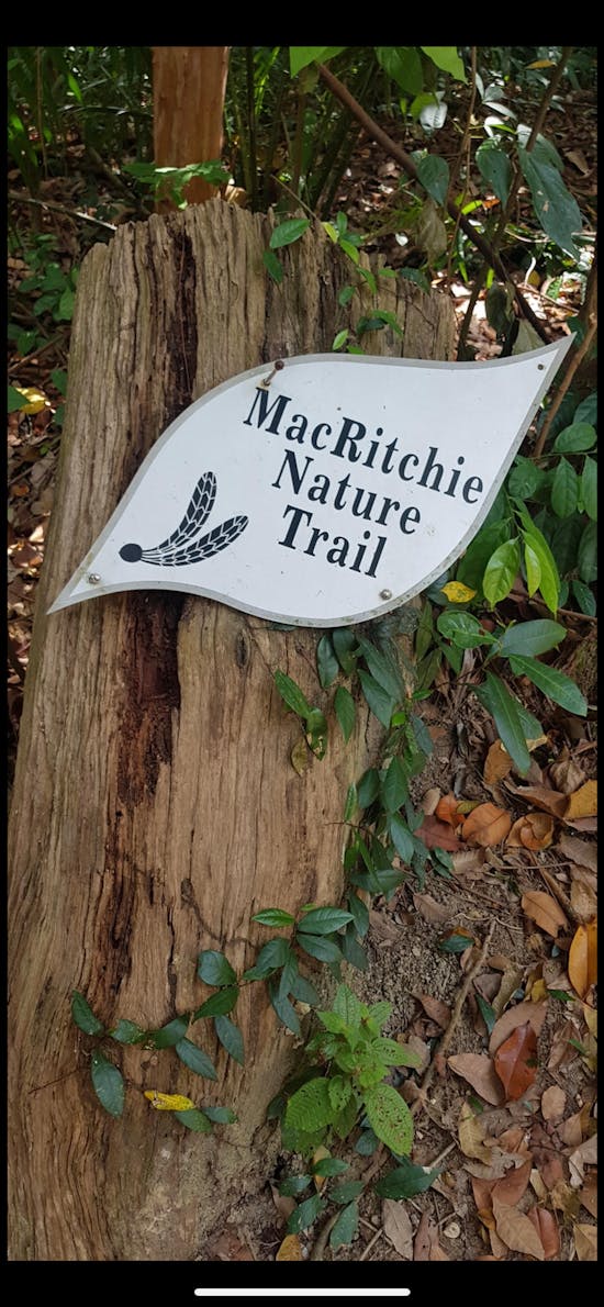 Macritchie Treetop Walk Trailhead, Singapour
